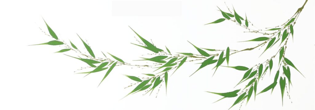 Sumi-e-painting-bamboo-BeppeMokuza-Zen-ink-art-ricepaper-leaves
