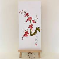 Primavera - immagine 4