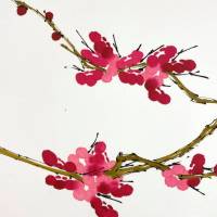 Fiducia
