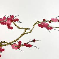 Fiducia - immagine 3