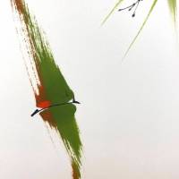 Sempreverde