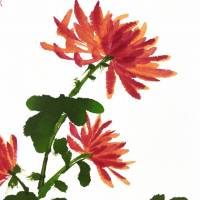 Coraggio - immagine 2