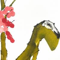Primavera - immagine 2