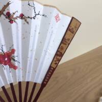 Ventaglio grande - legno rosso - Pruno - immagine 5