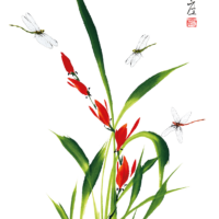 Cartolina 10x15 - Orchidea e libellule - immagine 2