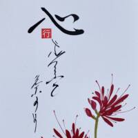 Equinozio - immagine 2