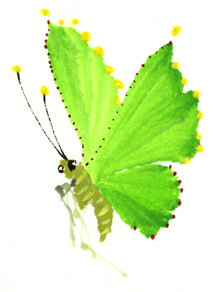 KZ6A2474_ok